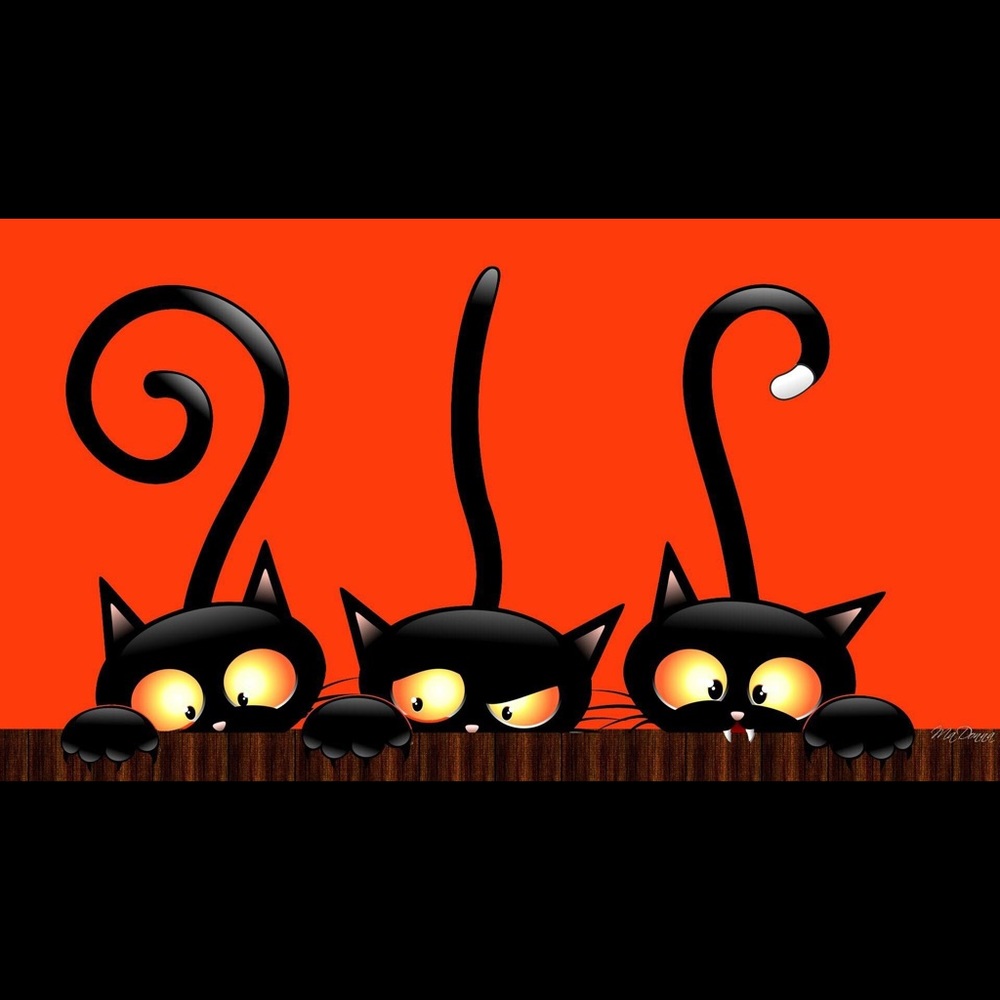 Meet your Posher, Bonnie